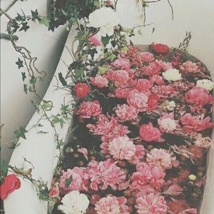 Meet your Posher, Julia